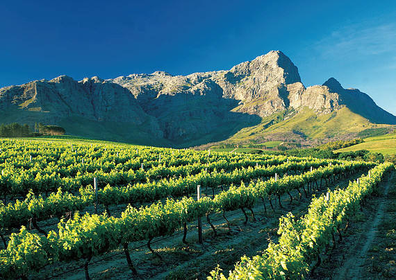 7a4974_d22cbaf51872463297e0ea578262cd6f